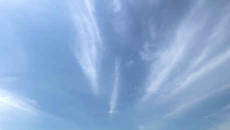 Nikki FREE inactive_ model hd pic