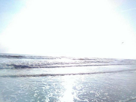 Nikkistevens 777 model perfect archive