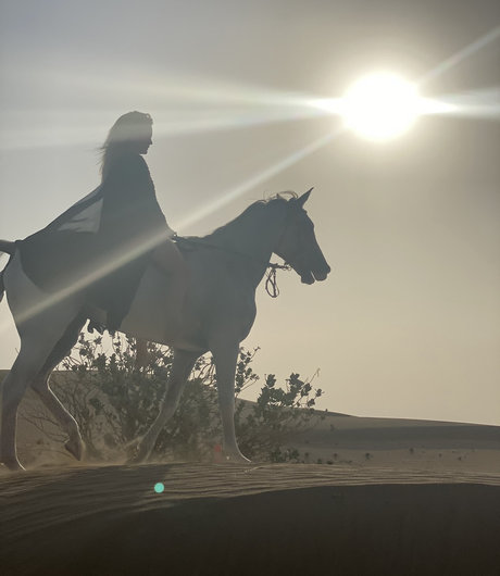 PeepingTomsQuest star porn picture