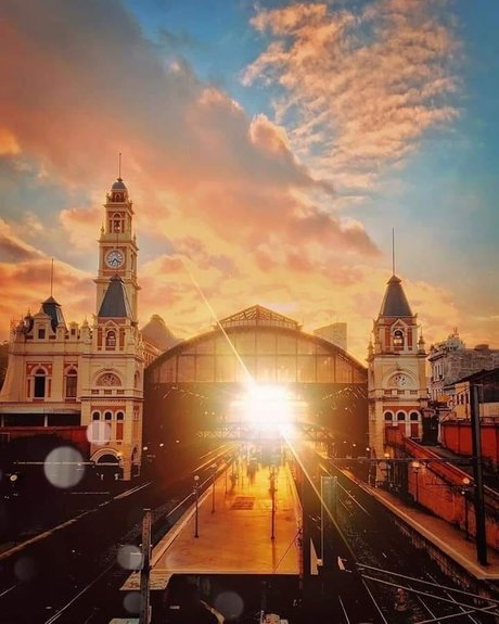 Parrudo Paulista pornstar adult images