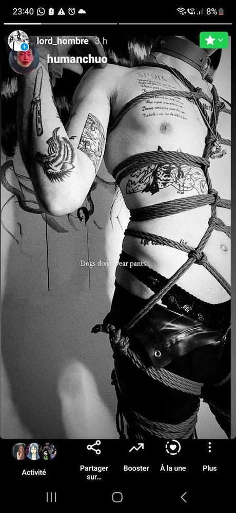 StraightToBottom best star archive