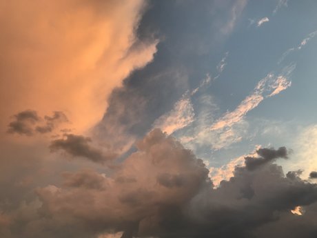 The Edge Master star pornographic photo