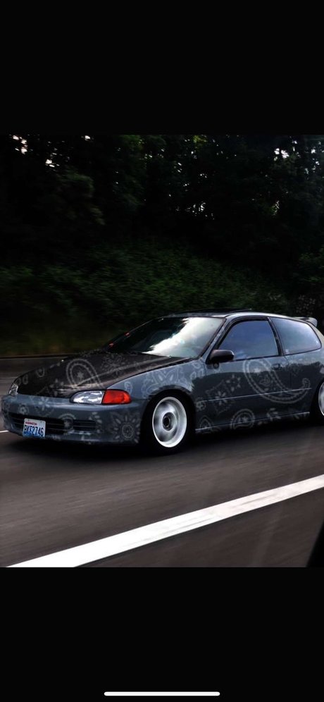 DaddyO perfect pornstar photo