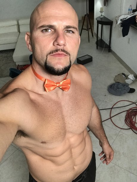 Onlyjmac model best archive