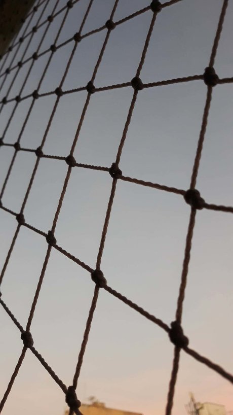 onerom pornstar adult image