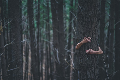 CryptoFomo nudes model photos