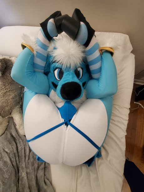 Fizzy potato Husky model pornographic pic