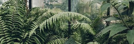 Pixie FREE_ porn model galleries