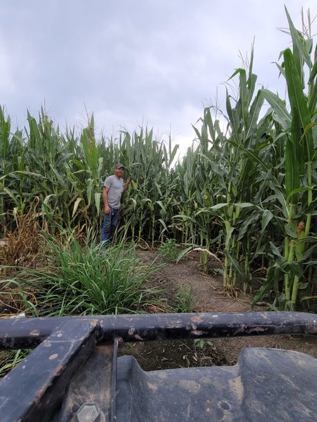 pregnant asian onlyfans hot nude gallery