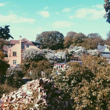 Pippi_ model nudes picture