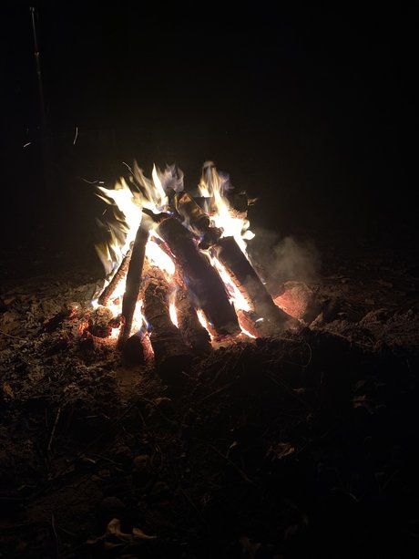 Pipelayer35 model free pictures