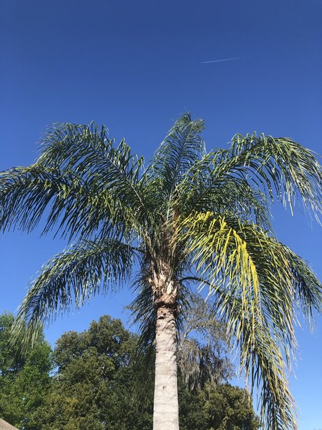 sex scene onlyfans art naked img