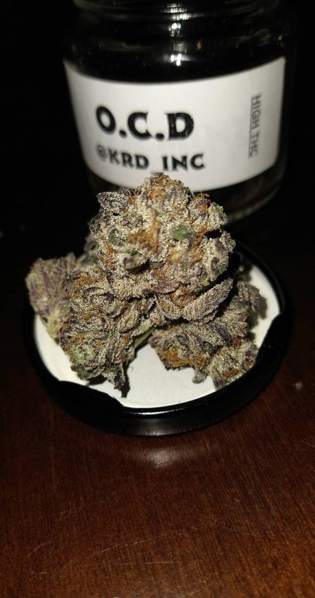 real twin onlyfans porn gallery