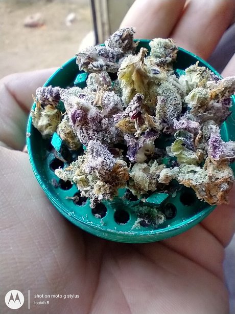 PimpinaintEz model sexy images