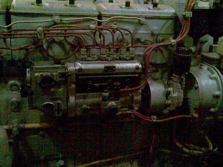 Stranger model erotic gallery