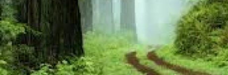 u35508985 star erotic photos