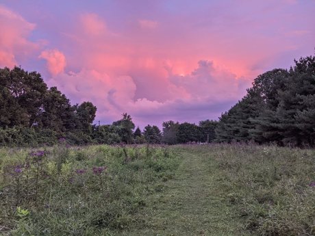 ball onlyfans pornographic archive