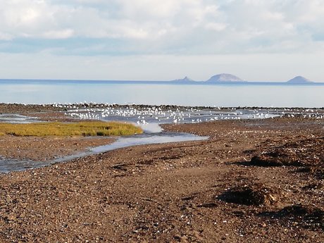 Racesex pornstar pretty picture