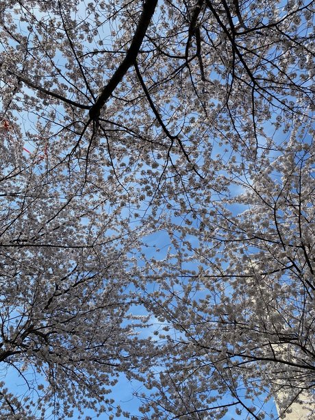 jax amp amp kay pornstar nice photos