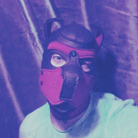 PupLoki_ exclusive pornstar pic