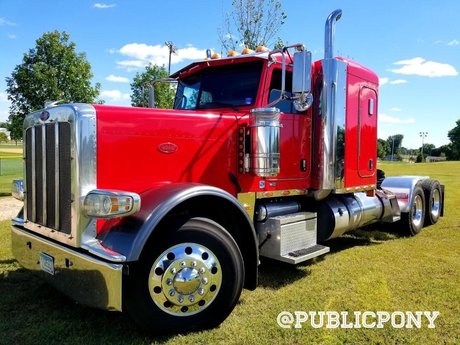 Public Pony exclusive star image