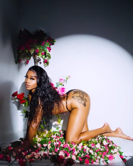 Princesss model nude image