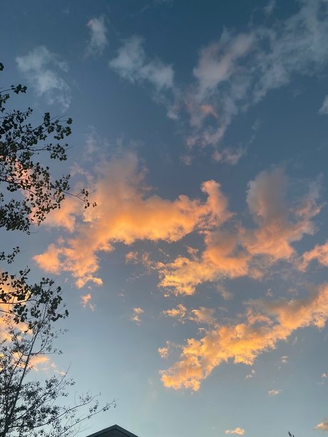 Prince Ambrose Quartz pornstar free pic