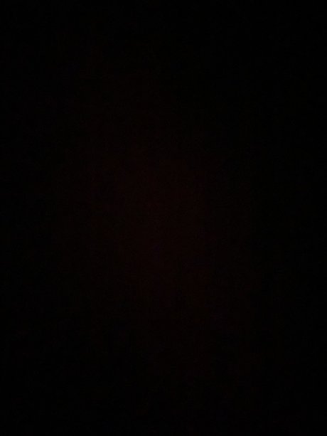 Primrose_ exclusive model photos