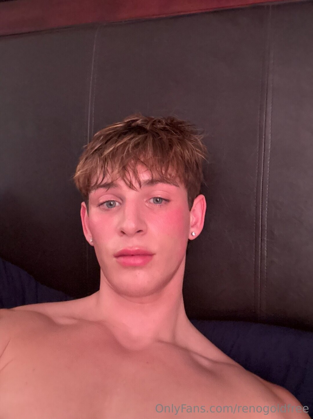 renogoldfree model art archive