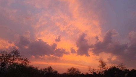 Dreamgirl Montana high quality actress photos