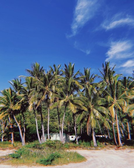 Tila Maria model nudes pics