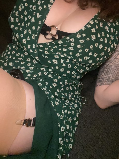 ray vox model perfect archive