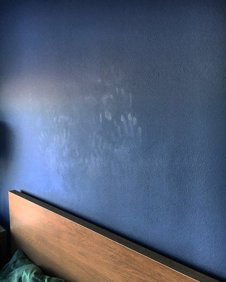 ray vox pornstar xxx pic