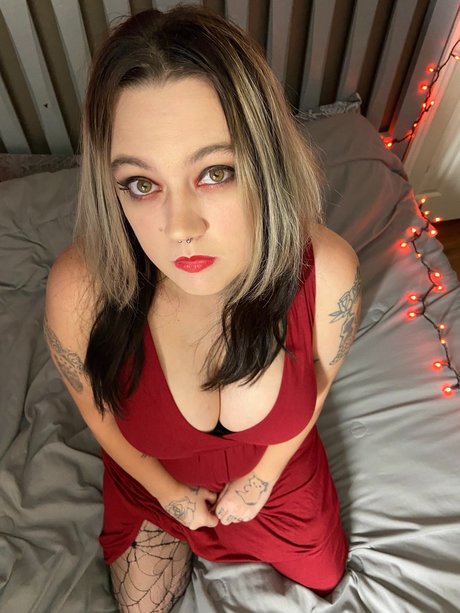 Rainbowfishbish star beautiful gallery