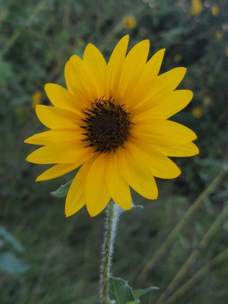 Mari1007 model art gallery