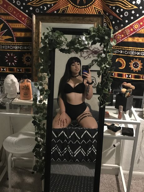 mar bear star perfect img