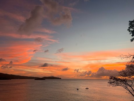 MMM star pornographic img