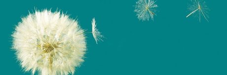 Manuel Ballher star top pictures