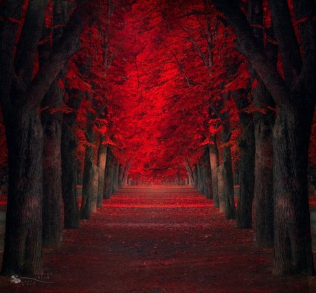 Random Aussie model adult gallery