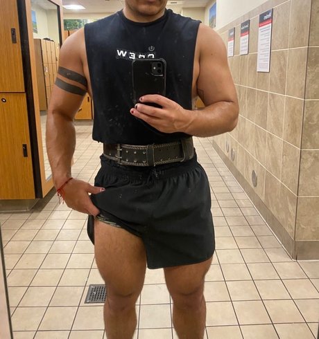 Roman Grey best model archive