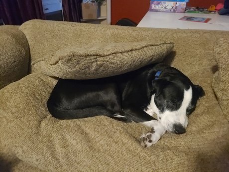 ssbbw granny onlyfans perfect pictures