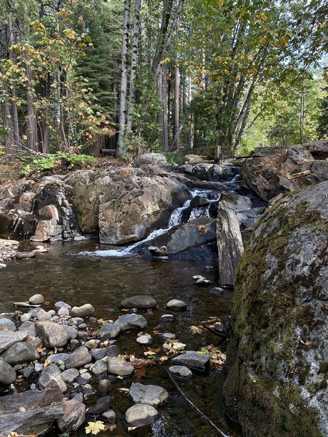 El Rio_ erotic actress galleries