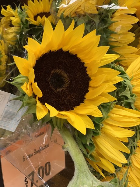 thigh high boots onlyfans perfect galleries