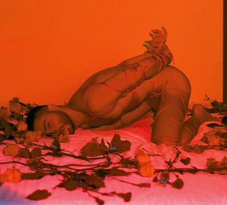 MAVERICK_ xxx actress archive