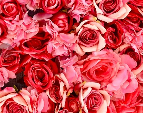 Bangin Blair best star images