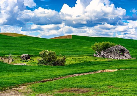 Bakamic Photography nude pornstar pics