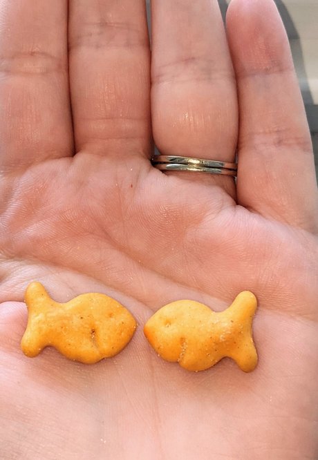 Banana amp amp Milkshakes hd model archive