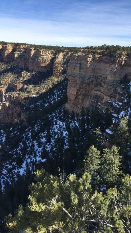 Toney star beautiful photos