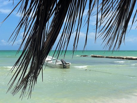 Monna star top archive