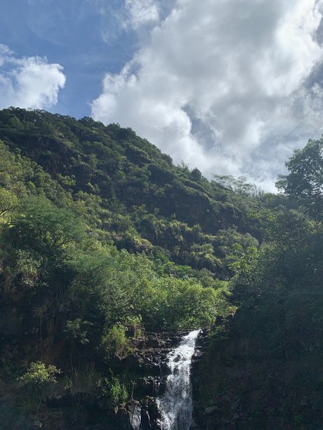 Beau Rose sexy star archive